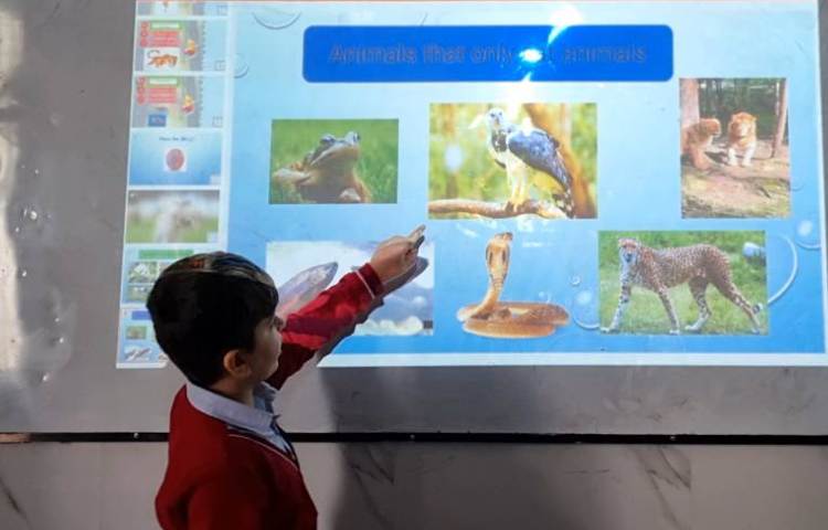 تمرین دسته‌بندی حیوانات-زنگ Science 1