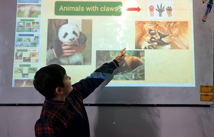 تمرین دسته‌بندی حیوانات-زنگ Science 2