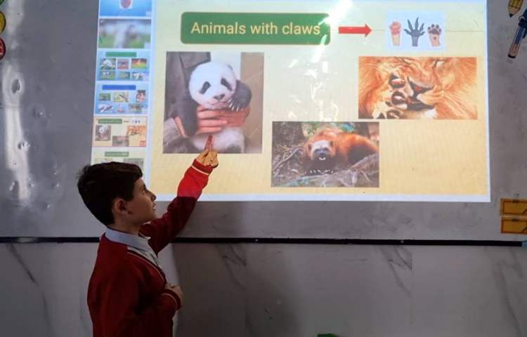 تمرین دسته‌بندی حیوانات-زنگ Science 3