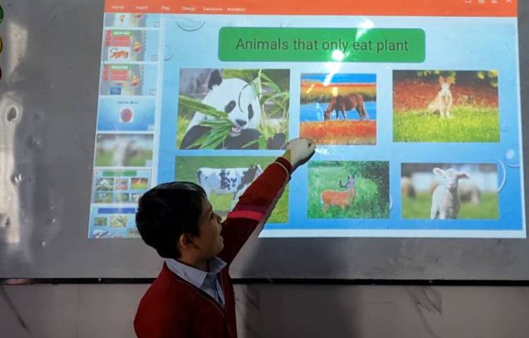 تمرین دسته‌بندی حیوانات-زنگ Science 4