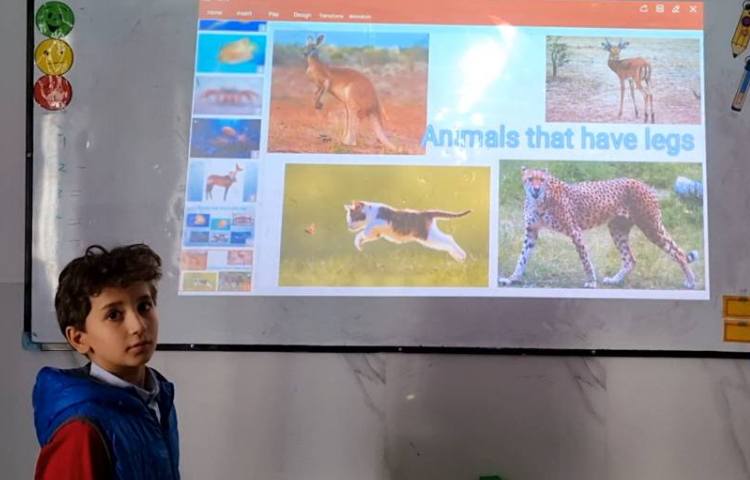 تمرین دسته‌بندی حیوانات-زنگ Science 5