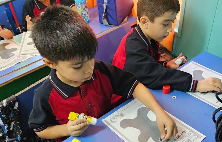 تمرین دست ورزی 5