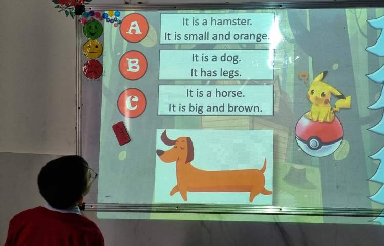 تمرین سوالاتِ دسته‌بندی حیوانات-زنگ Science 1