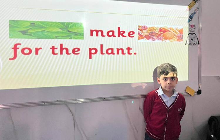 تمرین عملکرد هر قسمت از گیاه-زنگ Science 1