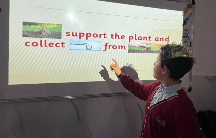 تمرین عملکرد هر قسمت از گیاه-زنگ Science 2