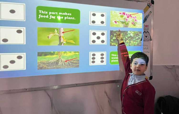 تمرین عملکرد هر قسمت از گیاه-زنگ Science 3