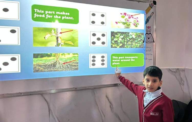 تمرین عملکرد هر قسمت از گیاه-زنگ Science 4