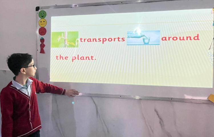 تمرین عملکرد هر قسمت از گیاه-زنگ Science 5