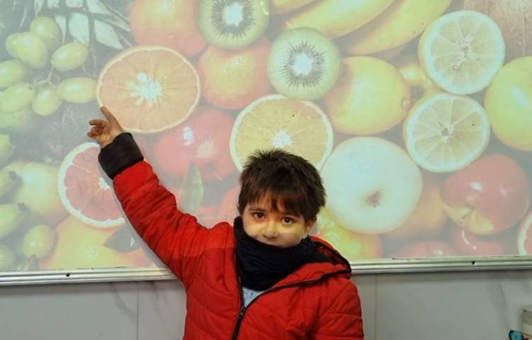 تمرین فواید 5 بخش هرم غذایی-زنگ Science