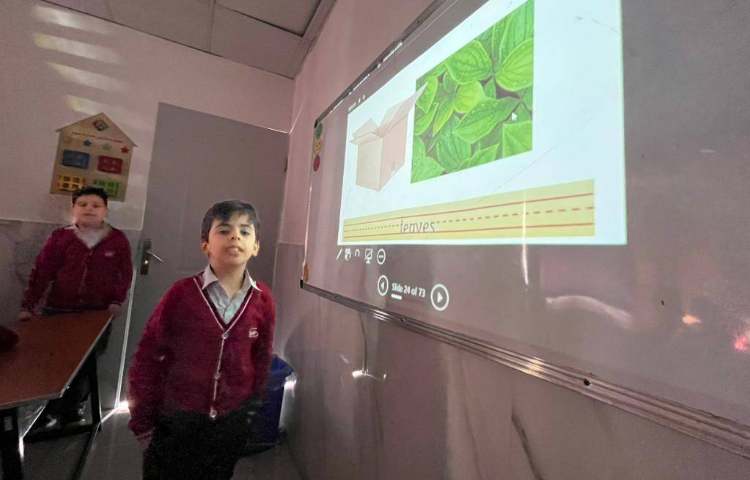 تمرین قسمت‌های مختلف یک گیاه-زنگ Science 2