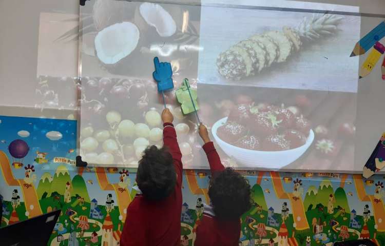 تمرین لغات درس 4 کتاب PictureDictionary 1