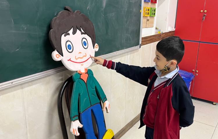 تمرین لغات مربوط به اعضای بدن-زنگ Science 6