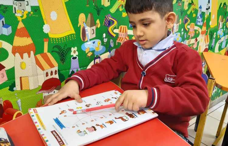 تمرین لغات مربوط به بچه‌ی حیوانات-زنگ Science 1