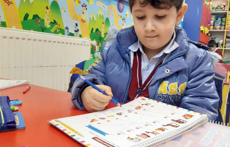 تمرین لغات مربوط به بچه‌ی حیوانات-زنگ Science 4