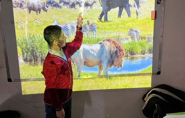 تمرین لغات مربوط به nature 1