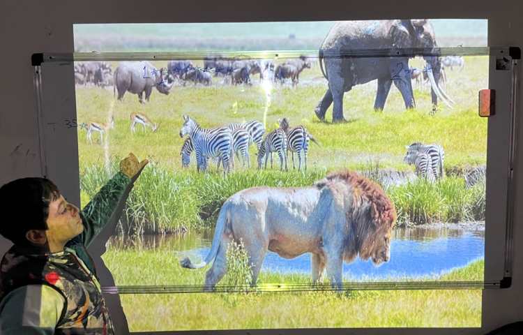 تمرین لغات مربوط به nature 2