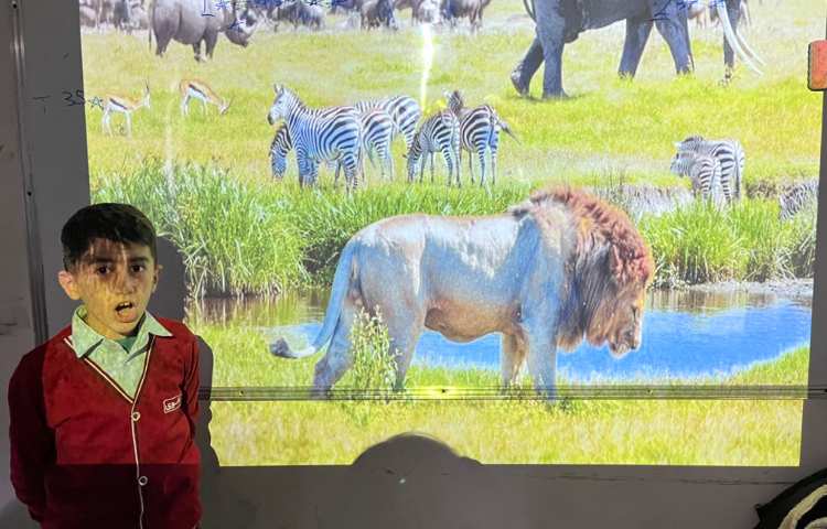 تمرین لغات مربوط به nature