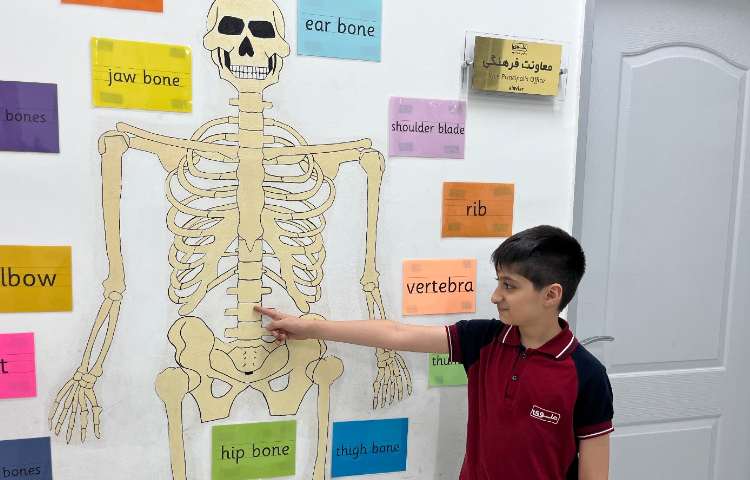تمرین مبحثِ اسکلت بدن انسان-زنگ Science 1