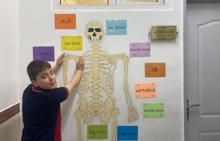 تمرین مبحثِ اسکلت بدن انسان-زنگ Science 1