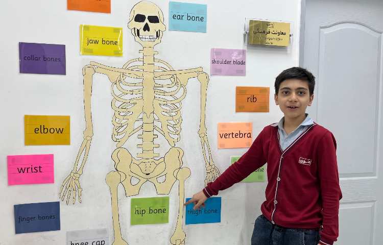 تمرین مبحثِ اسکلت بدن انسان-زنگ Science 2