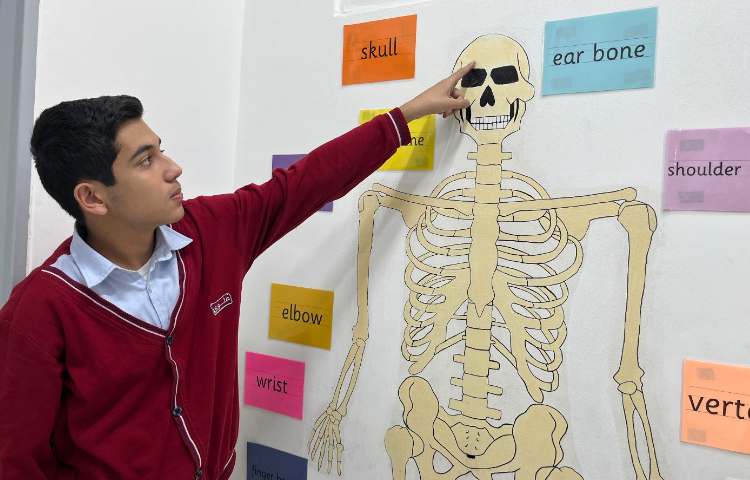 تمرین مبحثِ اسکلت بدن انسان-زنگ Science 3