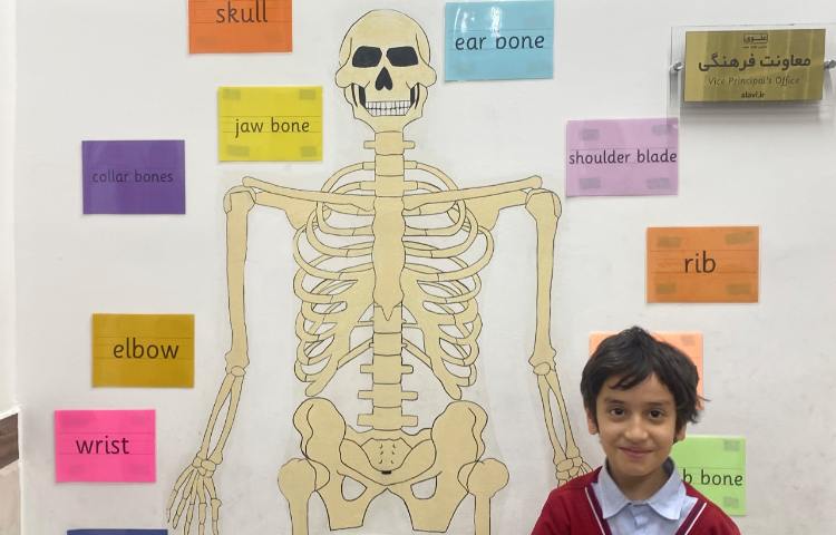تمرین مبحثِ اسکلت بدن انسان-زنگ Science 3