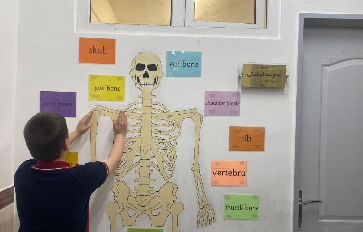 تمرین مبحثِ اسکلت بدن انسان-زنگ Science 4