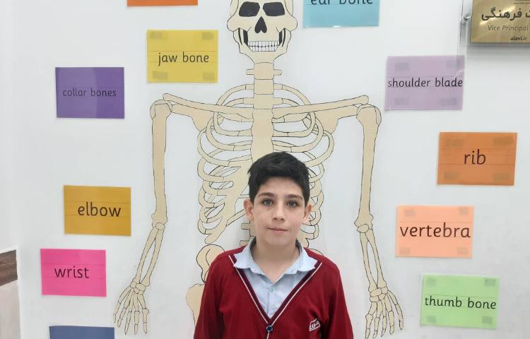 تمرین مبحثِ اسکلت بدن انسان-زنگ Science