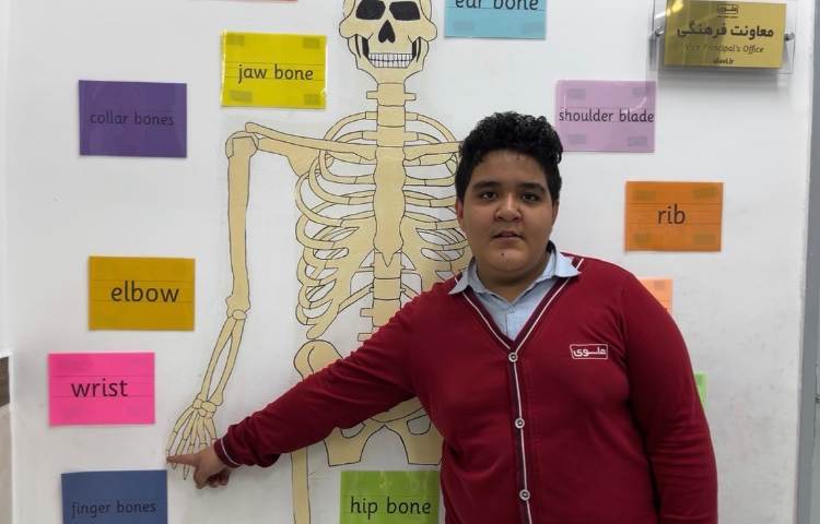 تمرین مبحثِ اسکلت بدن انسان-زنگ Science