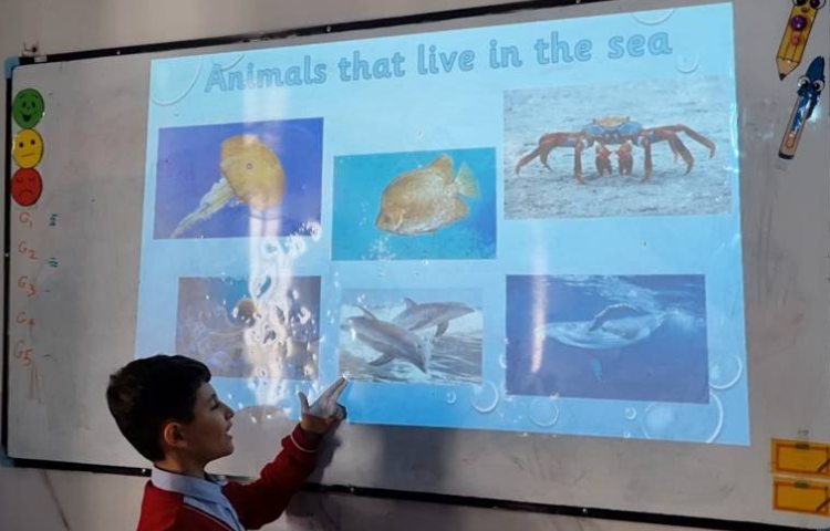 تمرین مبحث دسته‌بندی حیوانات-زنگ Science 1