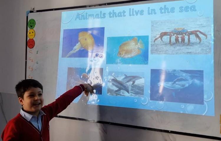 تمرین مبحث دسته‌بندی حیوانات-زنگ Science 2