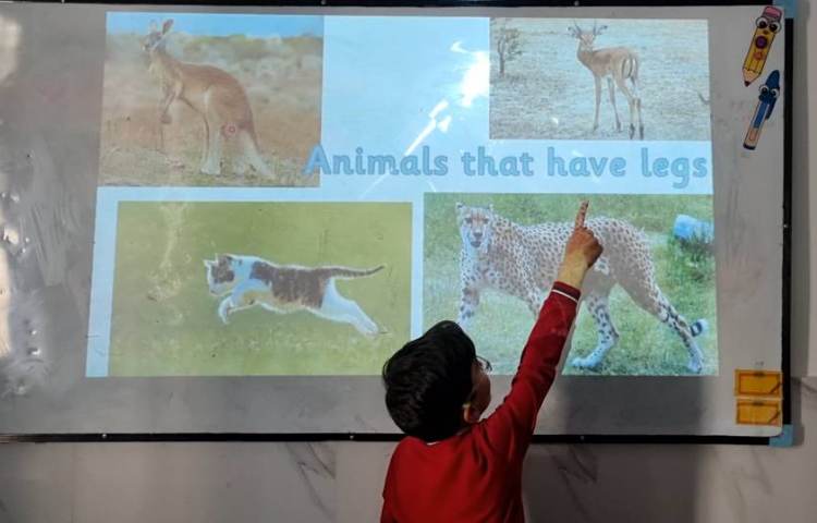 تمرین مبحث دسته‌بندی حیوانات-زنگ Science 3