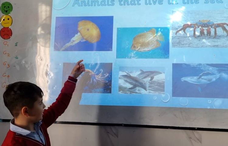 تمرین مبحث دسته‌بندی حیوانات-زنگ Science