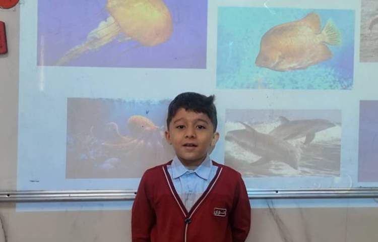 تمرین مبحث دسته‌بندی حیوانات-زنگ Science