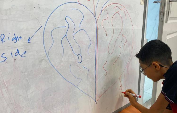 تمرین مبحث قلب با انجام کاربرگ-زنگ Science 3