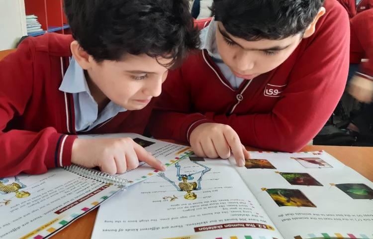 تمرین مبحث Skelton 2