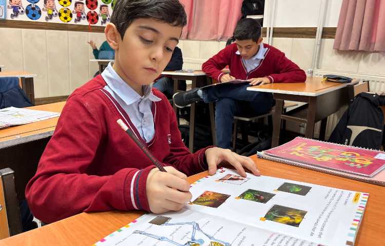 تمرین مبحث Skelton 2