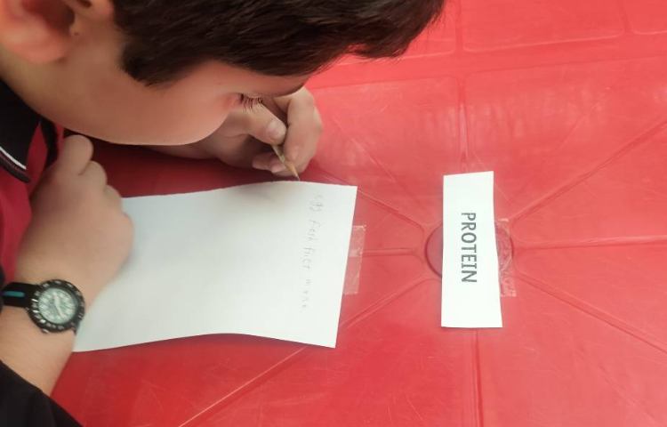 تمرین مثال‌های مربوط به مواد غذایی در گروه های مختلف غذایی به صورت گروهی 2