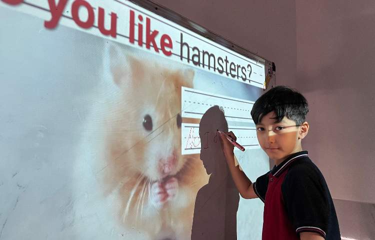 تمرین پاسخ‌دهی به سوالات با فعل like-زنگ زبان عمومی 4