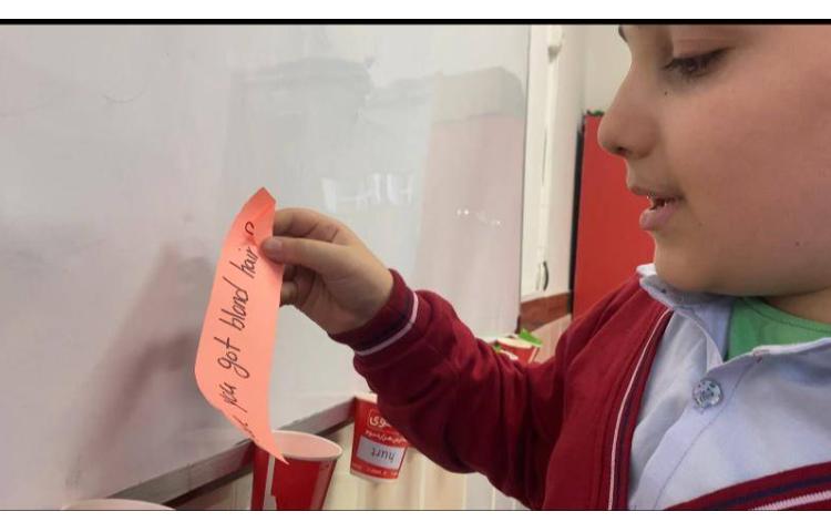 تمرین پاسخ‌دهی به سوالات Yes/No