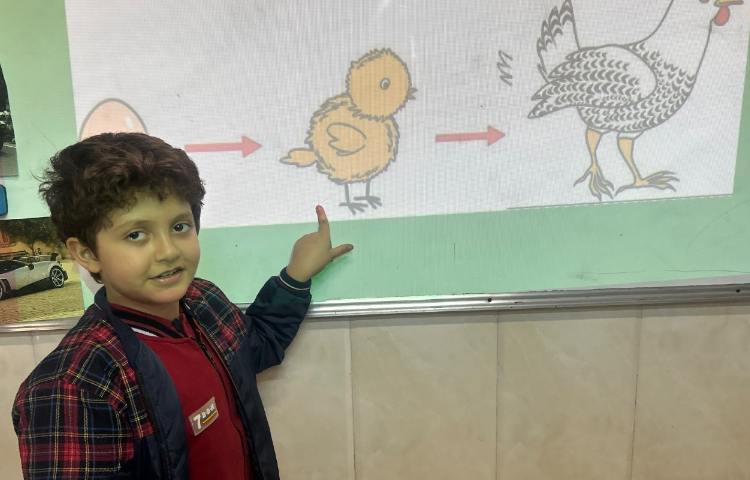 تمرین چرخه‌ی زندگی قورباغه و مرغ-زنگ Science 1