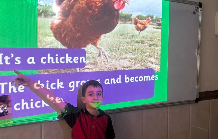 تمرین چرخه‌ی زندگی قورباغه و مرغ-زنگ Science 2