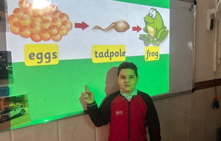 تمرین چرخه‌ی زندگی قورباغه و مرغ-زنگ Science 3