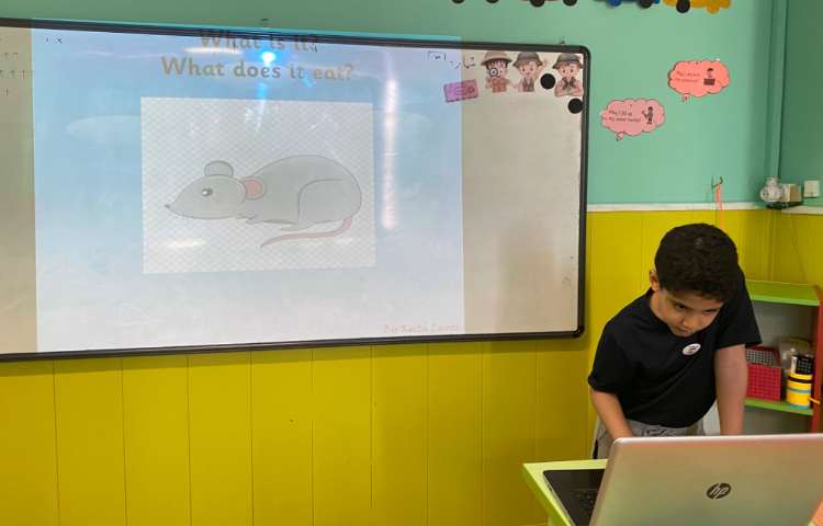 تمرین کلمات مربوط به درسow با استفاده از بازی 4