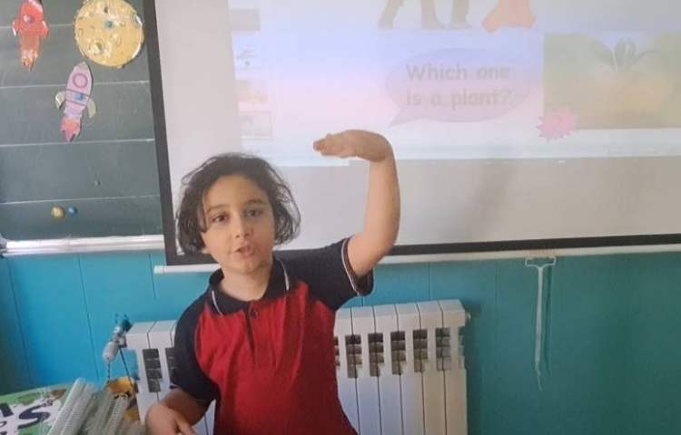 تمرین living and non living and animals and plants practice 1