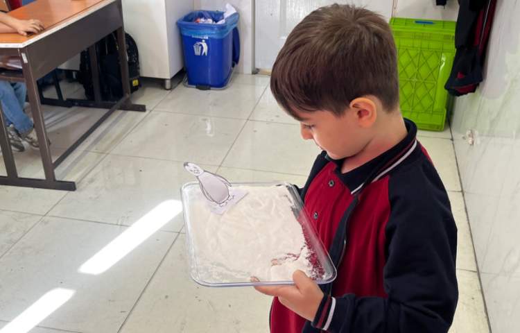 تمرین Letter Formation 1