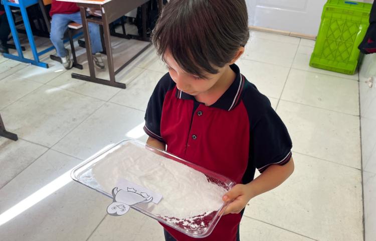 تمرین Letter Formation 2