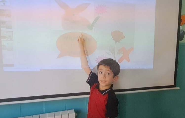 تمرین living and non living and animals and plants practice 3