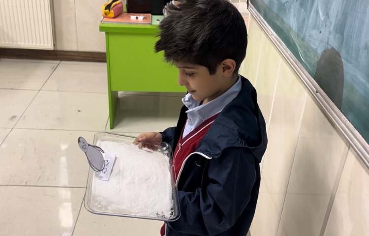 تمرین Letter Formation 4