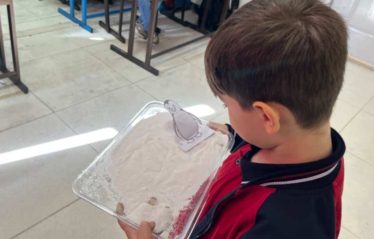 تمرین Letter Formation 4